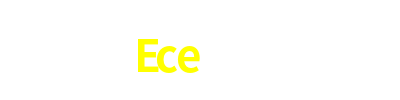 Ece777